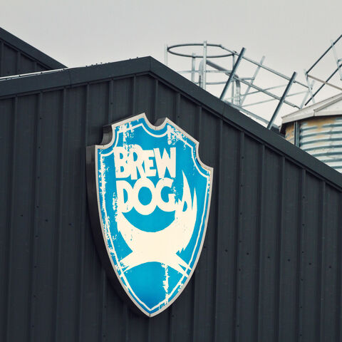 HAM 20142 Hampton brand roll out 2023 BREWDOG CASE STUDY 3840 x 3840 3