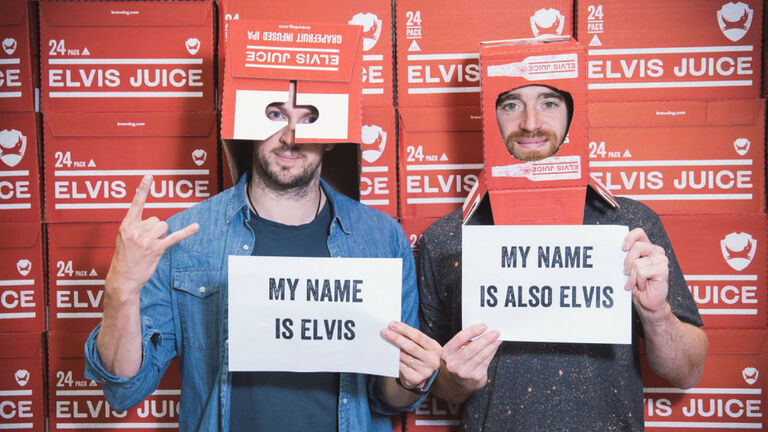 HAM 20142 Hampton brand roll out 2023 BREWDOG CASE STUDY 3840 x 2160 14