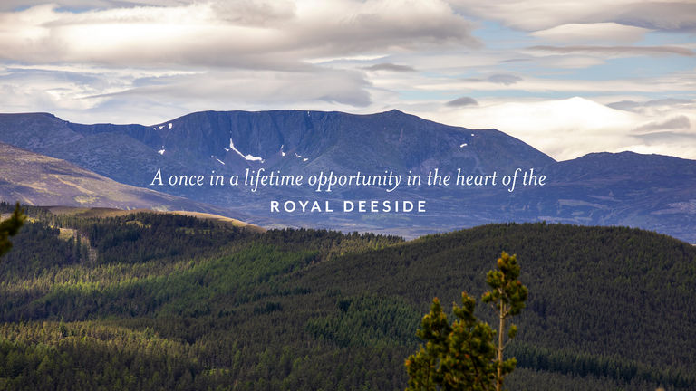 3 Estate Photos 2 web