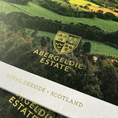 10 Brochure foil web